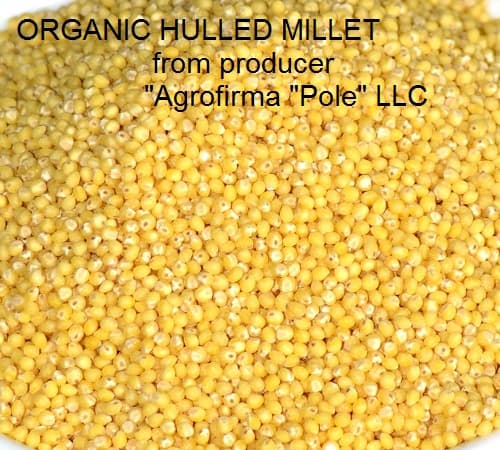 Organic hulled millet directly from Producer